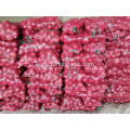 Fresh Best Quality Red Onion 2020